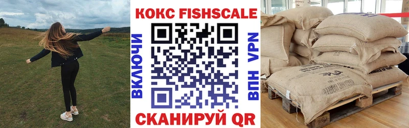 купить наркотики цена Вельск Cocaine Fish Scale