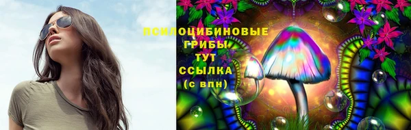 тгк Богородицк