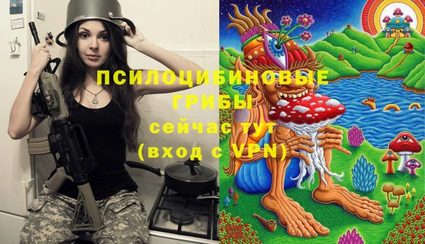 тгк Богородицк