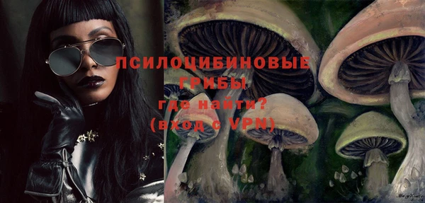 гашик Белокуриха