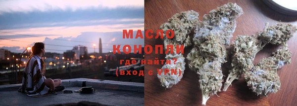 тгк Богородицк