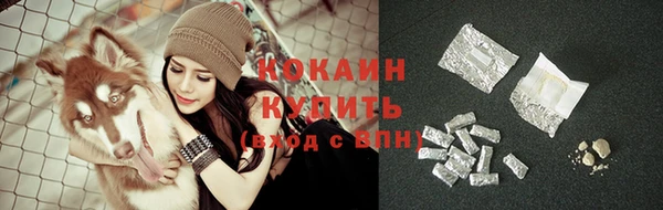 гашик Белокуриха